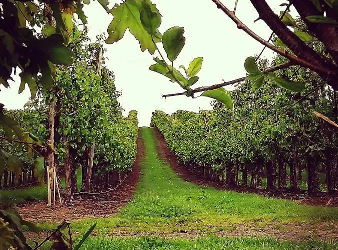 Lela Valkenburg aan de Geul