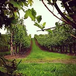 Lela Valkenburg aan de Geul