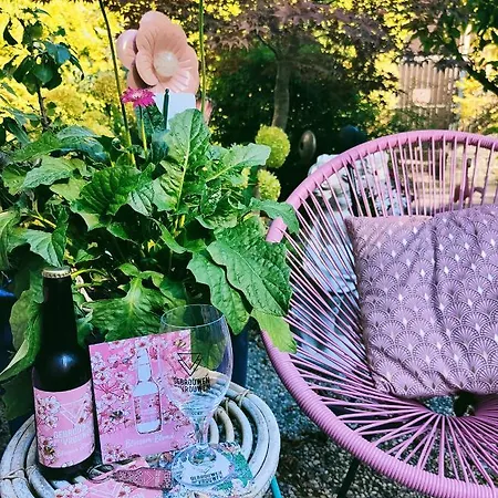 Pink Lela Valkenburg aan de Geul