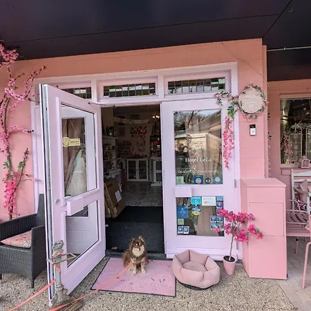 Lela Валкенбург